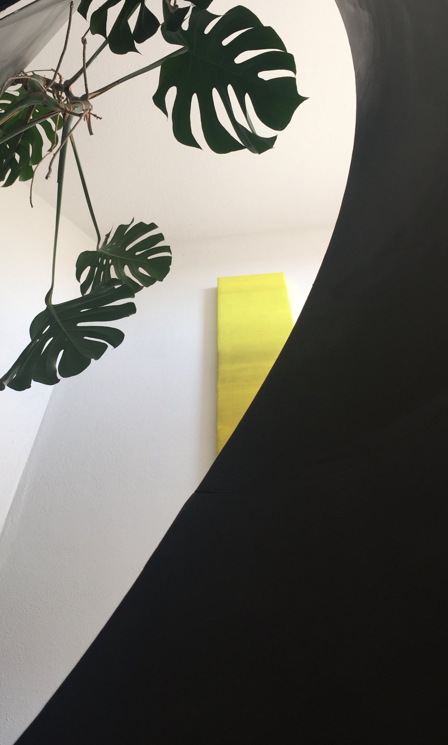 „sun“ 280 x 30 1-tlg